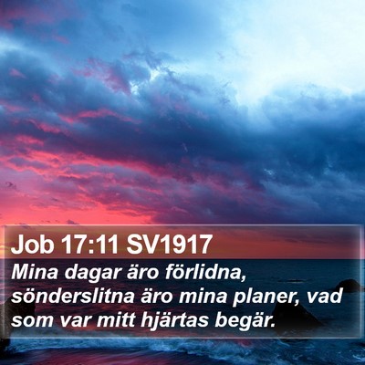Job 17:11 SV1917 Bible Verse Image