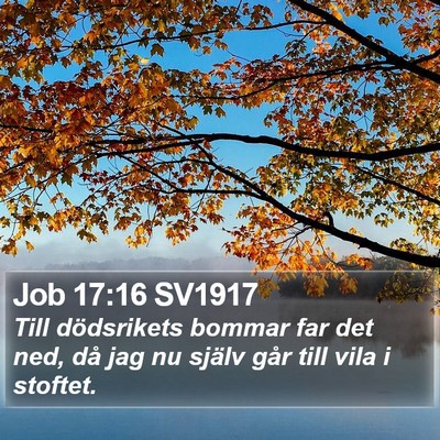 Job 17:16 SV1917 Bible Verse Image