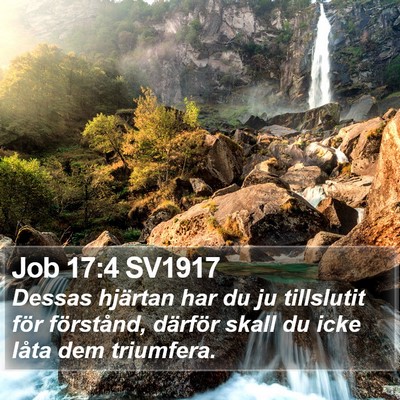 Job 17:4 SV1917 Bible Verse Image