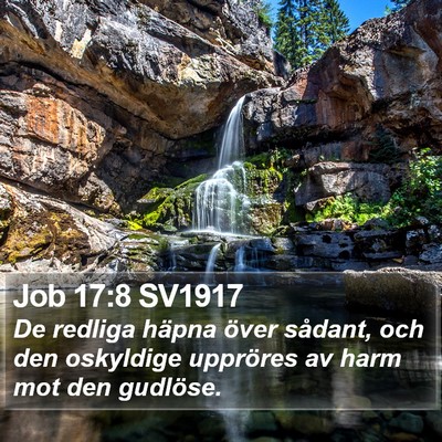 Job 17:8 SV1917 Bible Verse Image