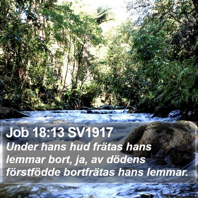 Job 18:13 SV1917 Bible Verse Image
