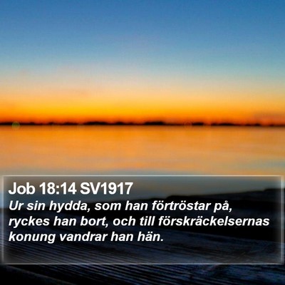 Job 18:14 SV1917 Bible Verse Image