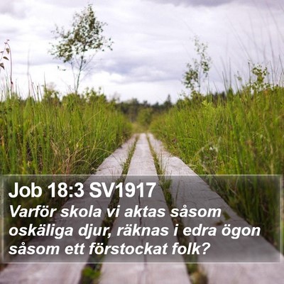 Job 18:3 SV1917 Bible Verse Image