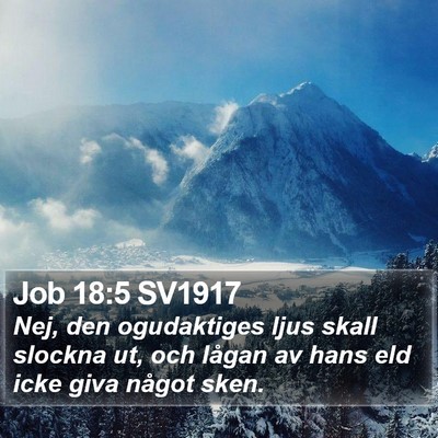 Job 18:5 SV1917 Bible Verse Image