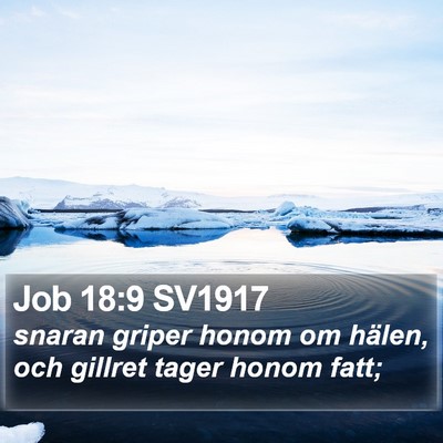 Job 18:9 SV1917 Bible Verse Image