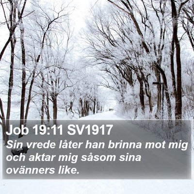 Job 19:11 SV1917 Bible Verse Image