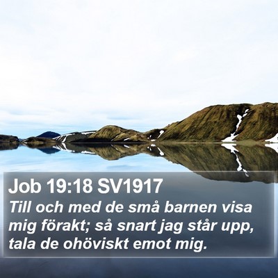 Job 19:18 SV1917 Bible Verse Image