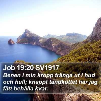 Job 19:20 SV1917 Bible Verse Image