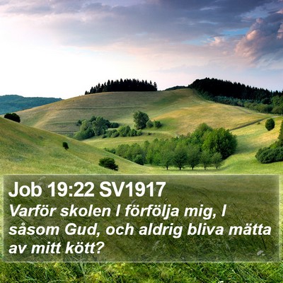 Job 19:22 SV1917 Bible Verse Image