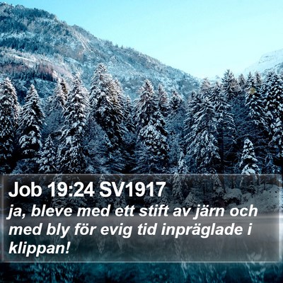 Job 19:24 SV1917 Bible Verse Image