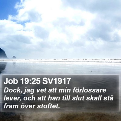 Job 19:25 SV1917 Bible Verse Image