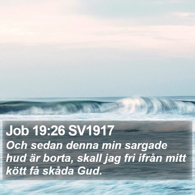Job 19:26 SV1917 Bible Verse Image