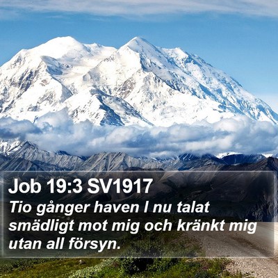 Job 19:3 SV1917 Bible Verse Image