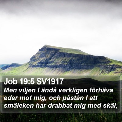 Job 19:5 SV1917 Bible Verse Image