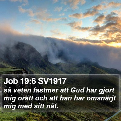 Job 19:6 SV1917 Bible Verse Image