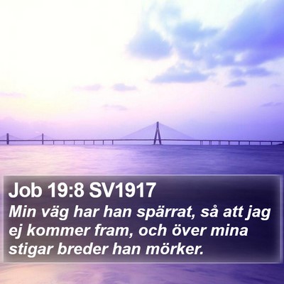 Job 19:8 SV1917 Bible Verse Image