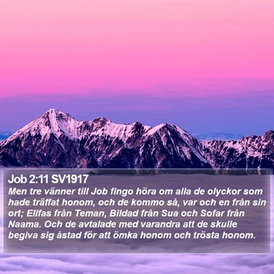 Job 2:11 SV1917 Bible Verse Image