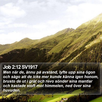 Job 2:12 SV1917 Bible Verse Image