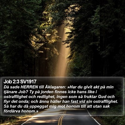 Job 2:3 SV1917 Bible Verse Image