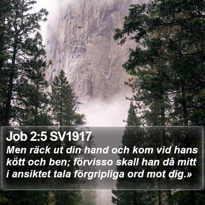 Job 2:5 SV1917 Bible Verse Image