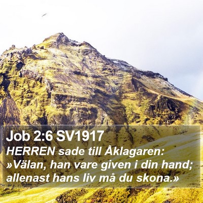Job 2:6 SV1917 Bible Verse Image
