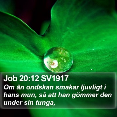 Job 20:12 SV1917 Bible Verse Image