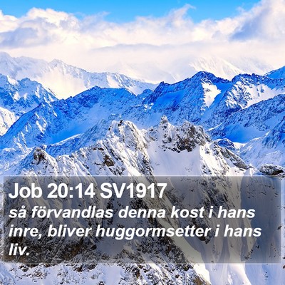 Job 20:14 SV1917 Bible Verse Image