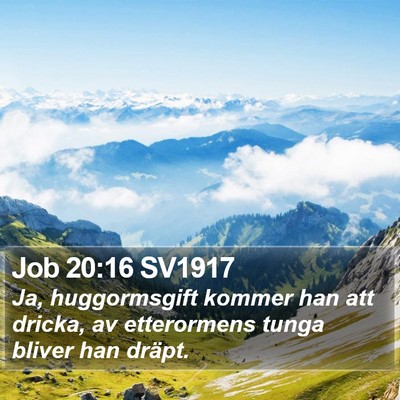 Job 20:16 SV1917 Bible Verse Image
