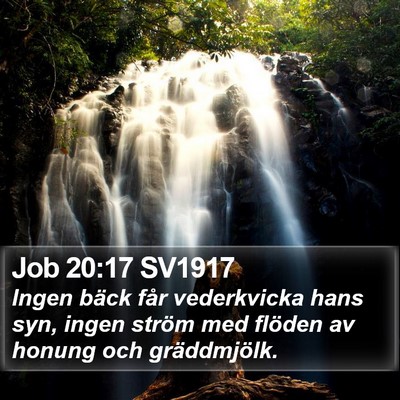 Job 20:17 SV1917 Bible Verse Image