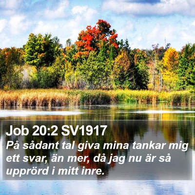 Job 20:2 SV1917 Bible Verse Image