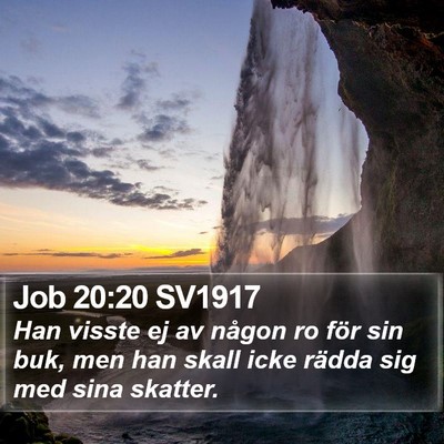 Job 20:20 SV1917 Bible Verse Image