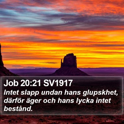 Job 20:21 SV1917 Bible Verse Image