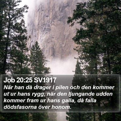 Job 20:25 SV1917 Bible Verse Image