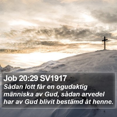 Job 20:29 SV1917 Bible Verse Image