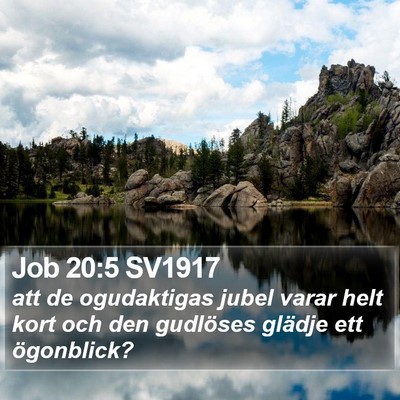 Job 20:5 SV1917 Bible Verse Image