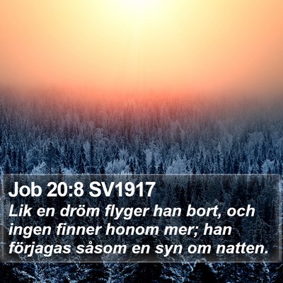 Job 20:8 SV1917 Bible Verse Image
