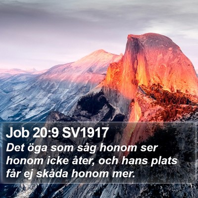 Job 20:9 SV1917 Bible Verse Image