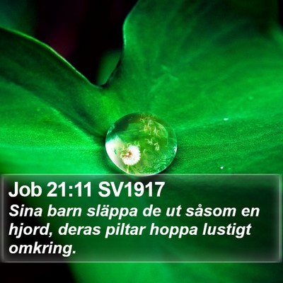 Job 21:11 SV1917 Bible Verse Image