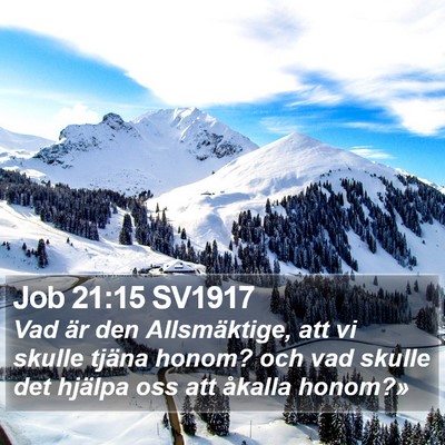 Job 21:15 SV1917 Bible Verse Image