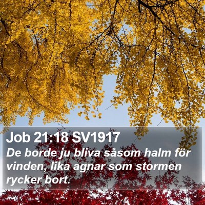 Job 21:18 SV1917 Bible Verse Image