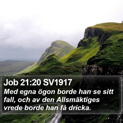 Job 21:20 SV1917 Bible Verse Image