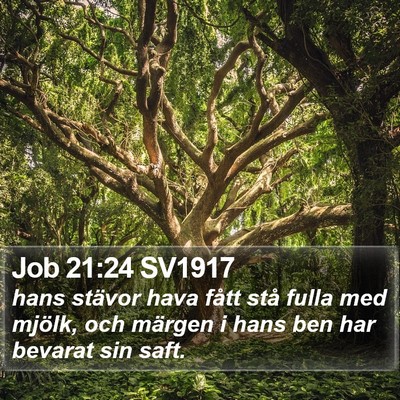 Job 21:24 SV1917 Bible Verse Image