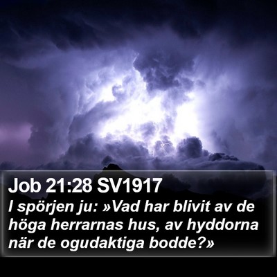 Job 21:28 SV1917 Bible Verse Image