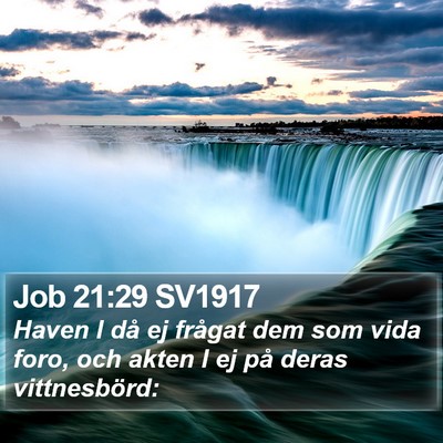 Job 21:29 SV1917 Bible Verse Image