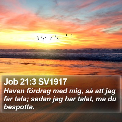 Job 21:3 SV1917 Bible Verse Image