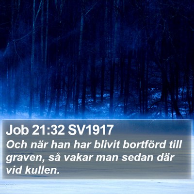 Job 21:32 SV1917 Bible Verse Image