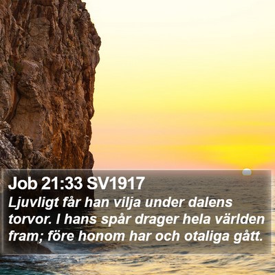 Job 21:33 SV1917 Bible Verse Image