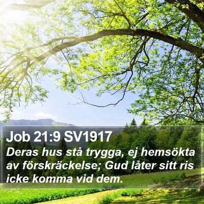 Job 21:9 SV1917 Bible Verse Image