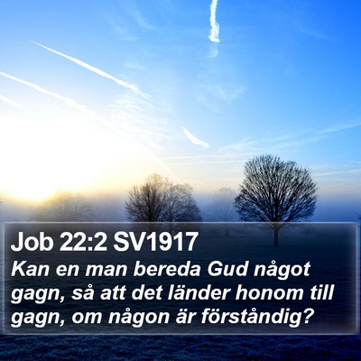 Job 22:2 SV1917 Bible Verse Image