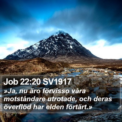 Job 22:20 SV1917 Bible Verse Image
